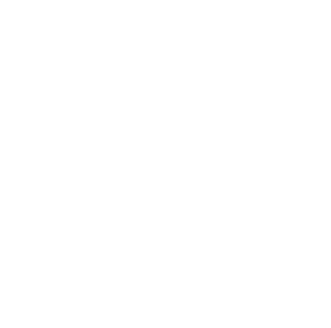 Lovewise Logo